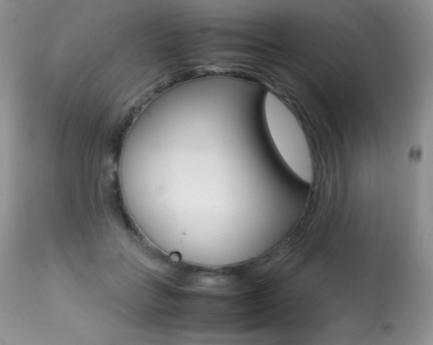 X0000113640555200909181332