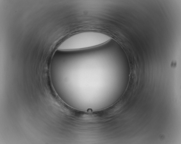 X0000113640556200909181332