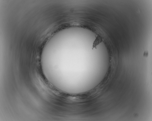 X0000113640557200909181332