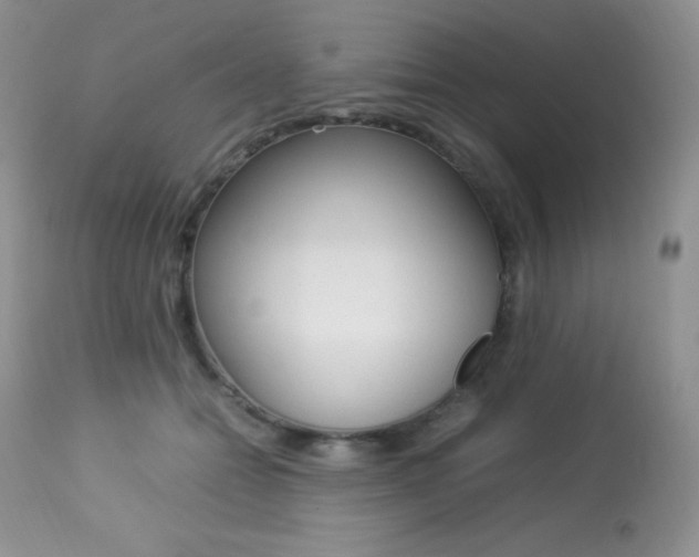 X0000113640558200909181332