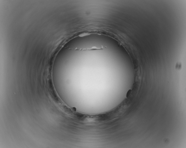 X0000113640560200909181332