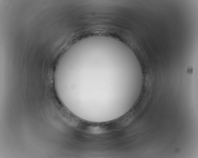 X0000113640561200909181332