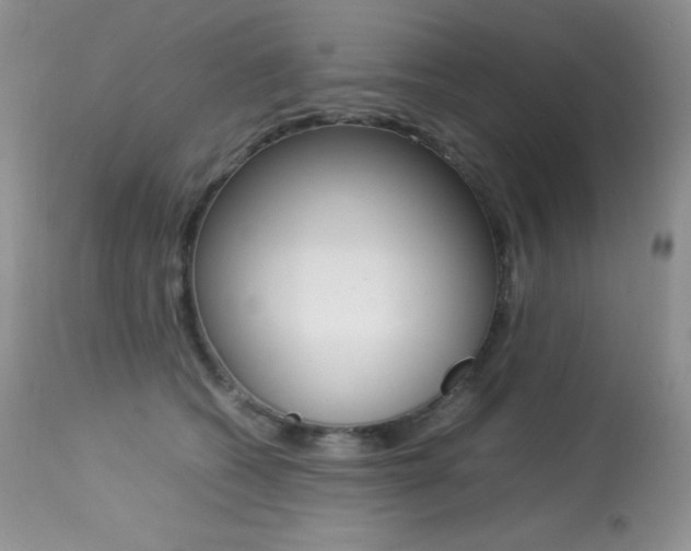 X0000113640562200909181332