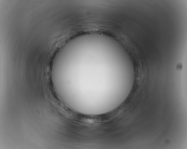 X0000113640563200909181332