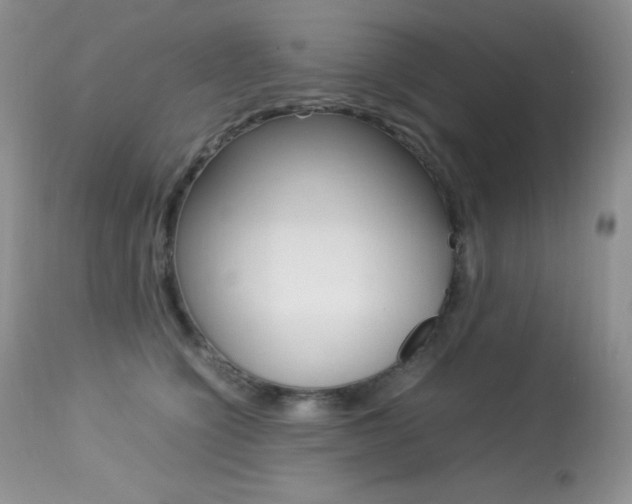 X0000113640564200909181332