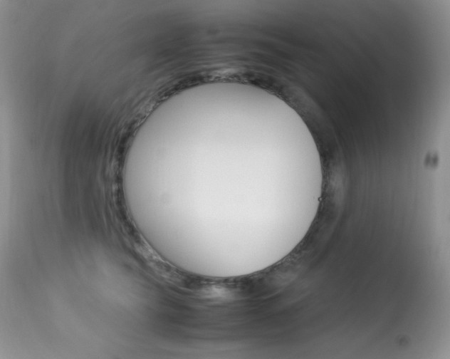 X0000113640565200909181332