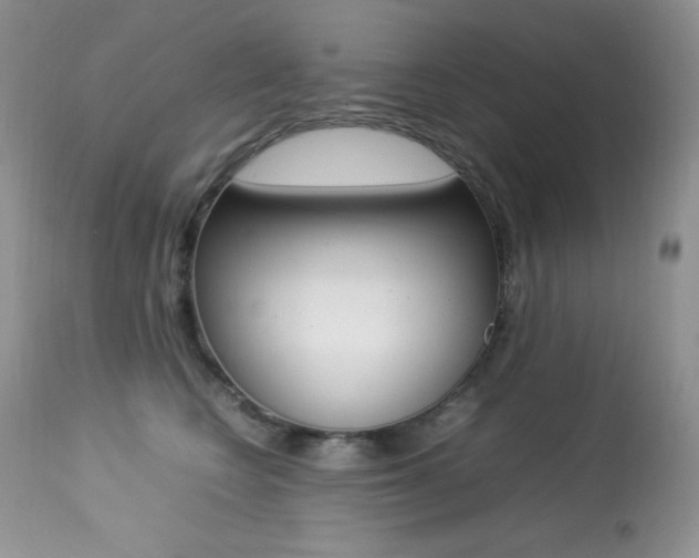 X0000113640566200909181332