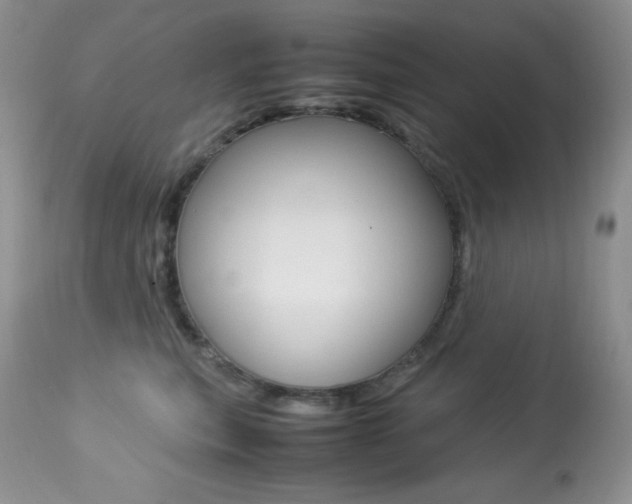 X0000113640567200909181332