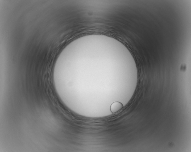 X0000113640568200909181332