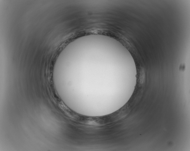 X0000113640569200909181332
