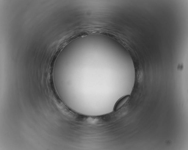 X0000113640570200909181332
