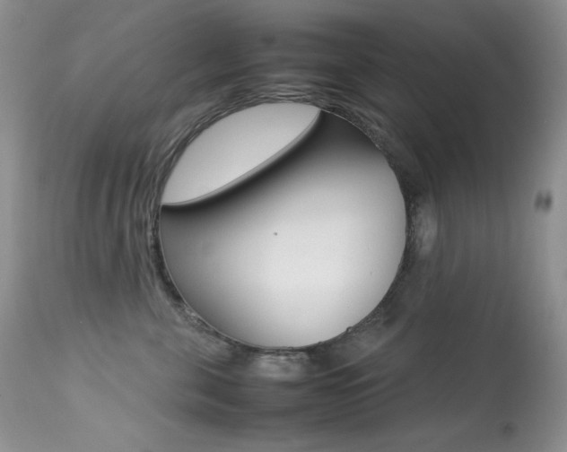 X0000113640571200909181332