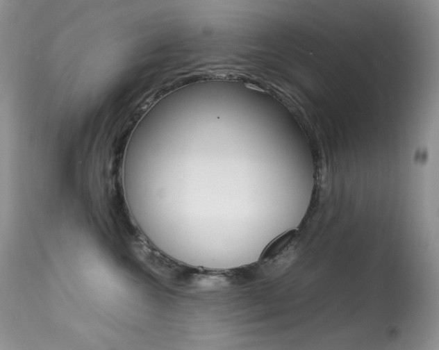 X0000113640572200909181332