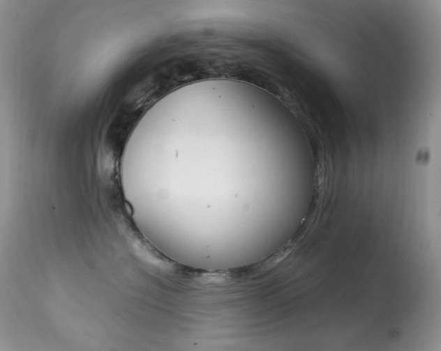 X0000113640574200909181332