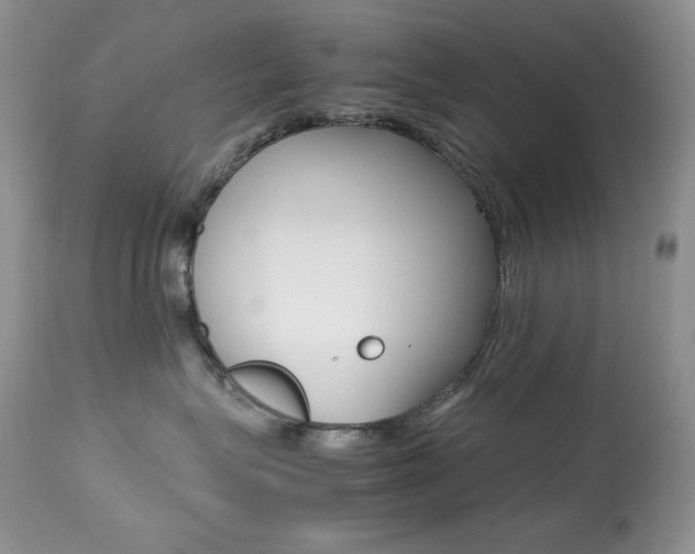 X0000113640575200909181332
