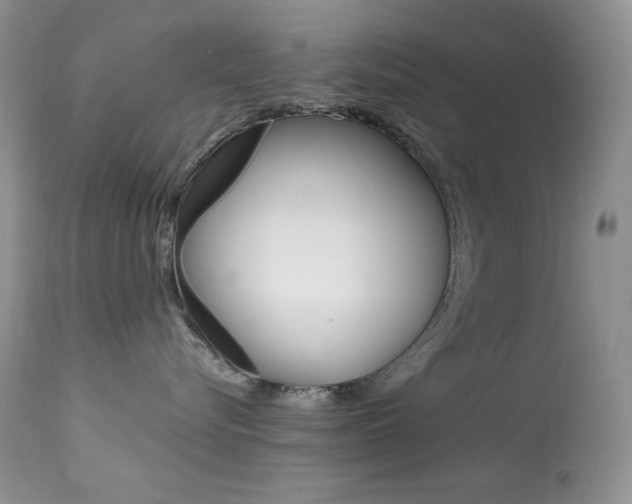 X0000113640576200909181332