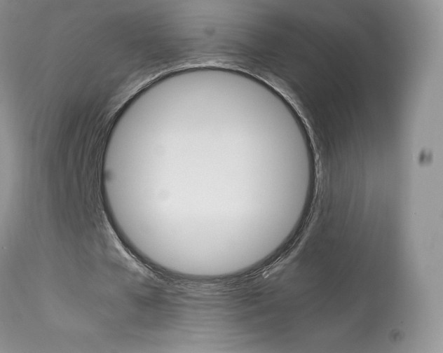 X0000113640577200909181331