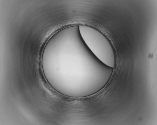 X0000113640578200909181331