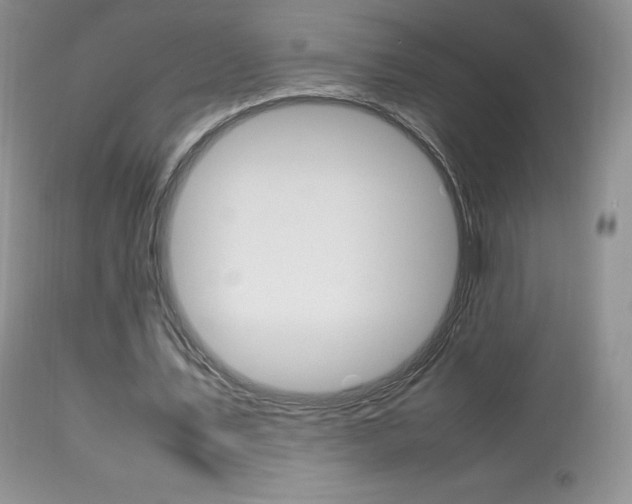 X0000113640579200909181331