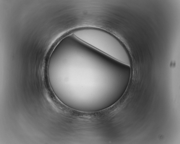 X0000113640580200909181331