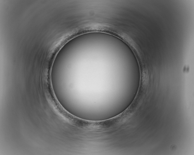 X0000113640581200909181331