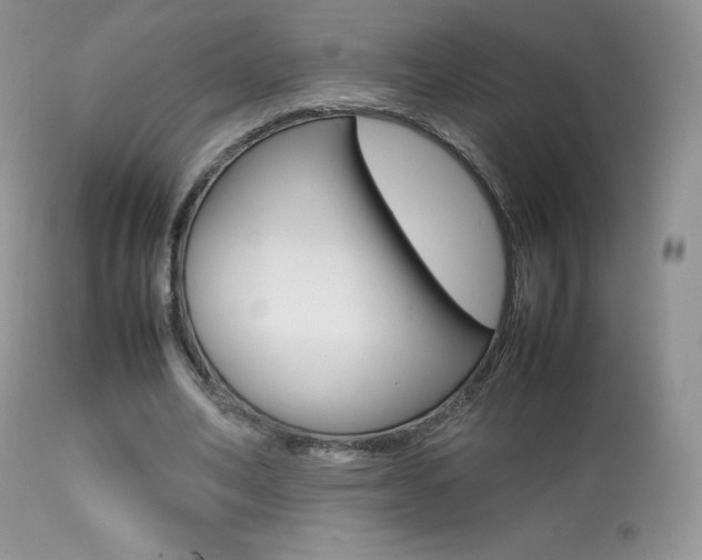 X0000113640582200909181331