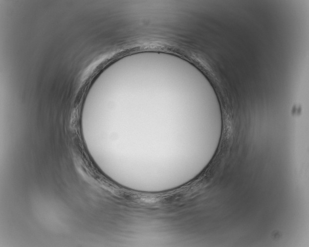 X0000113640583200909181331