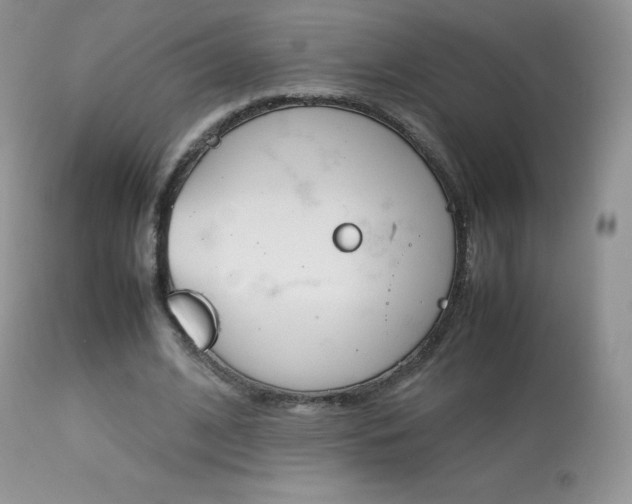 X0000113640584200909181331