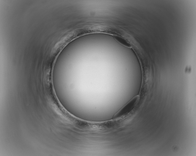 X0000113640585200909181331