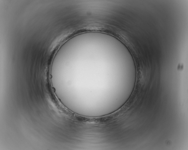 X0000113640586200909181331