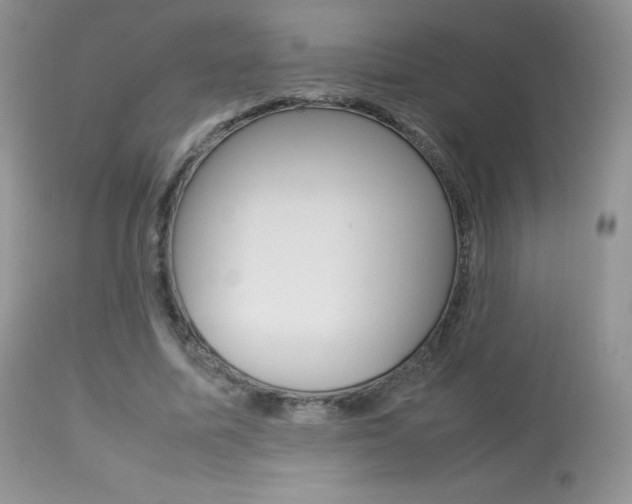 X0000113640587200909181331