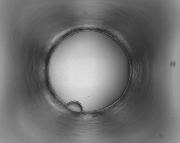 X0000113640588200909181331