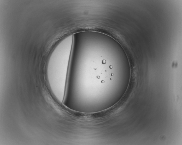 X0000113640589200909181331