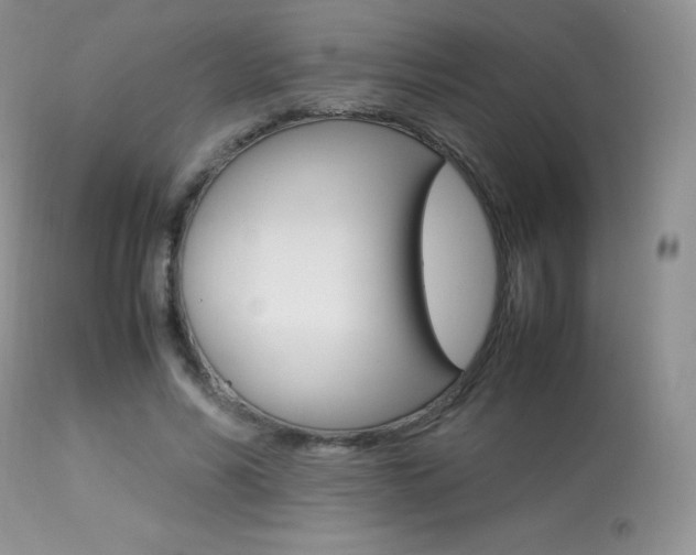 X0000113640590200909181331