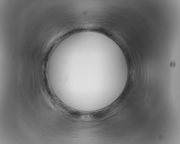 X0000113640591200909181331