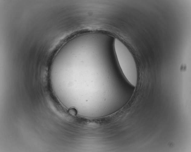 X0000113640592200909181331