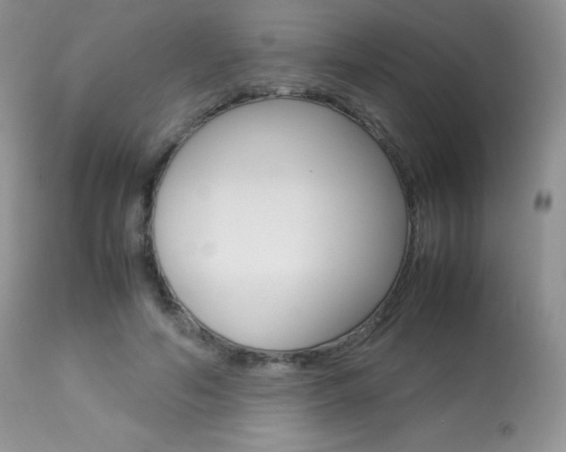X0000113640594200909181331
