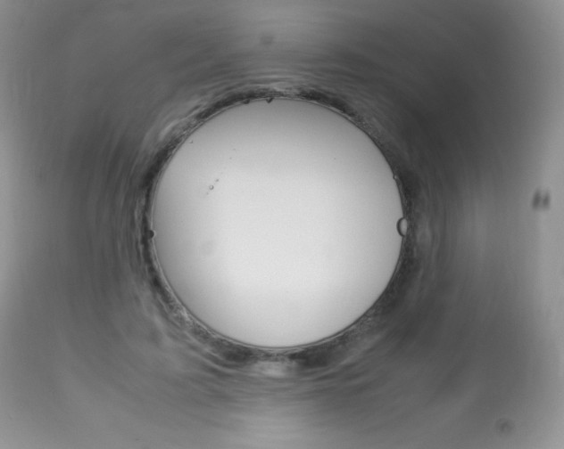X0000113640595200909181331