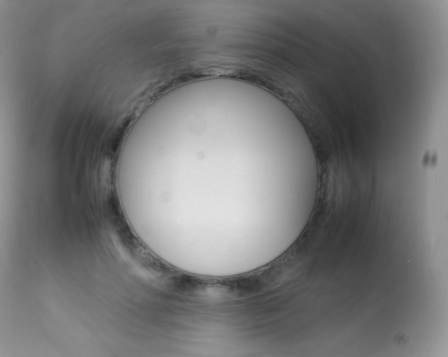 X0000113640598200909181331