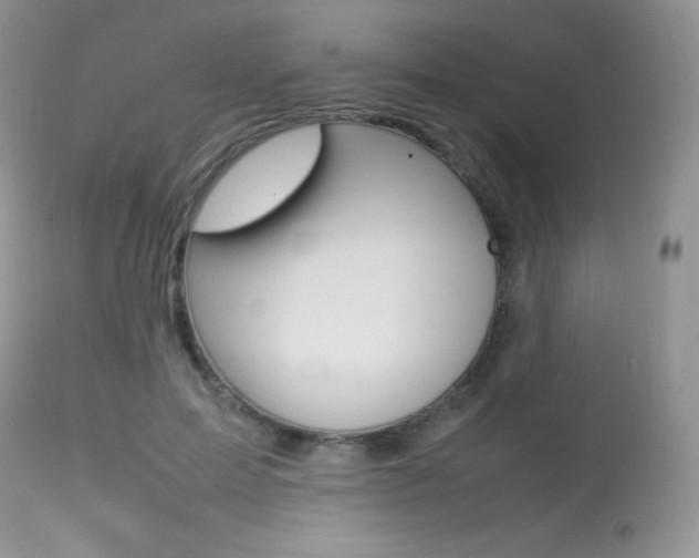 X0000113640599200909181331