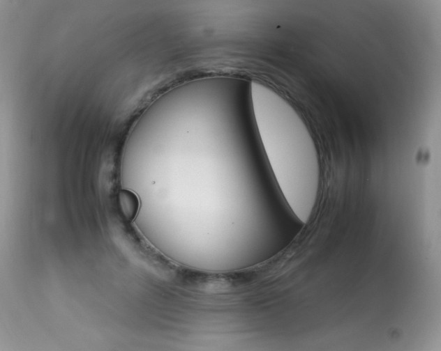 X0000113640600200909181331