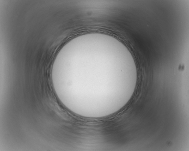 X0000113640601200909181331