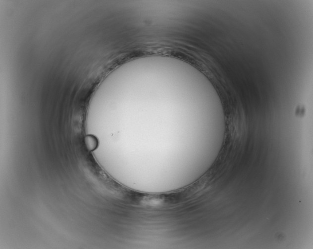 X0000113640602200909181331