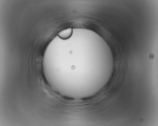 X0000113640603200909181331