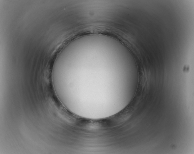 X0000113640604200909181331