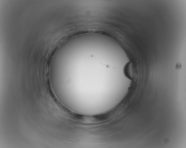 X0000113640605200909181331