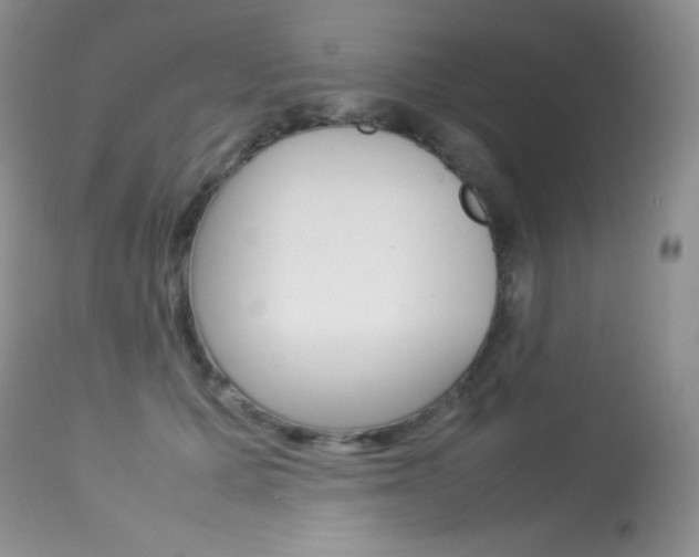 X0000113640607200909181331