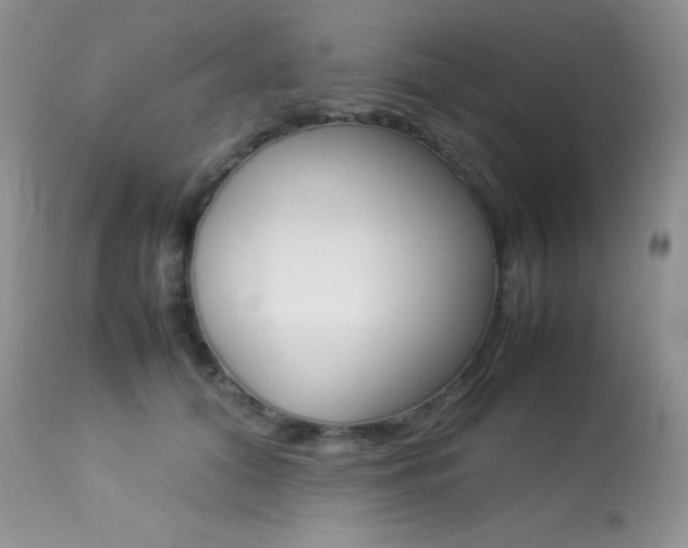 X0000113640608200909181331