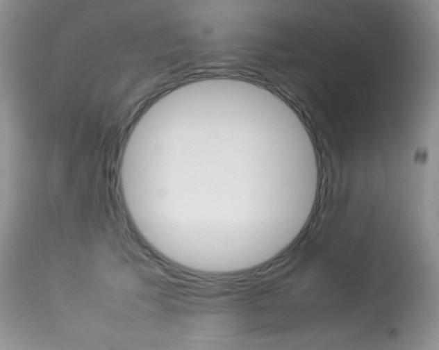 X0000113640609200909181331