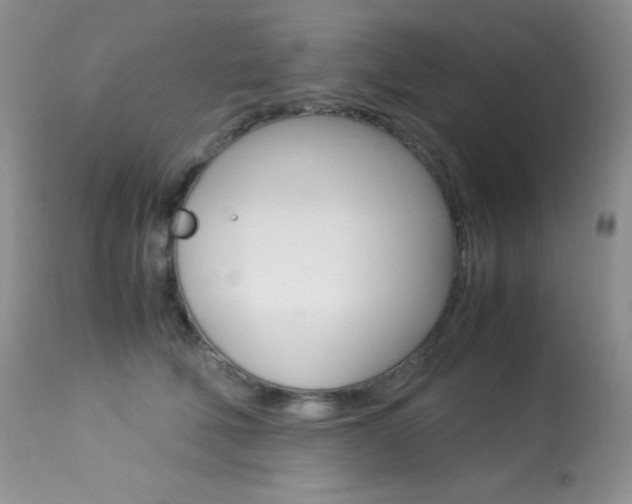 X0000113640610200909181331